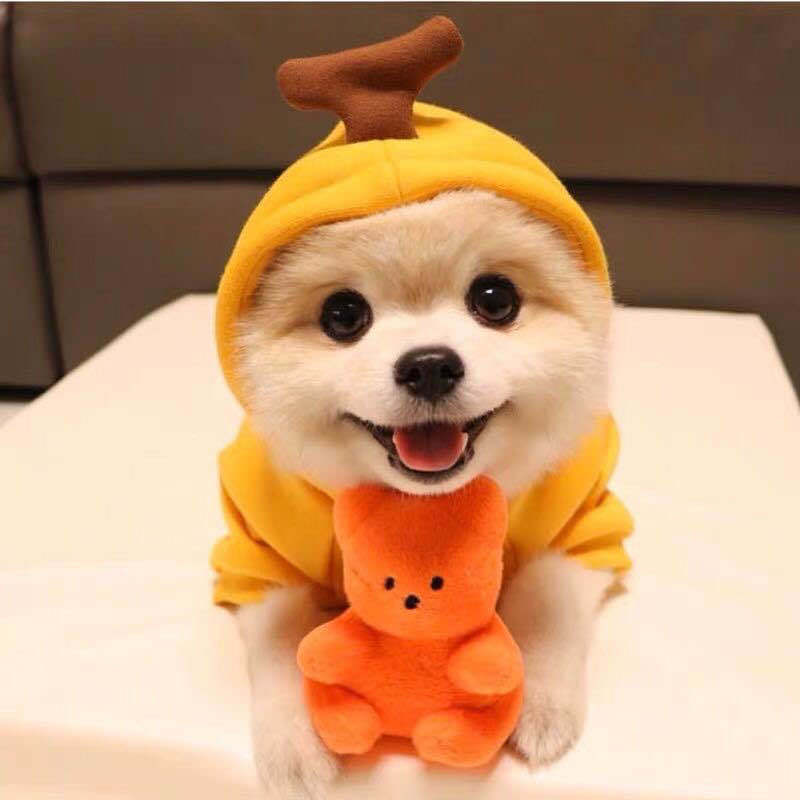 Warm Cute Fruit Fleece Hoodie for Small Pets
